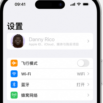 龙里appleID维修服务iPhone设置中Apple ID显示为灰色无法使用 