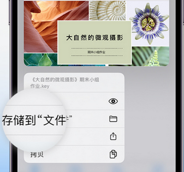 龙里apple维修中心分享iPhone文件应用中存储和找到下载文件