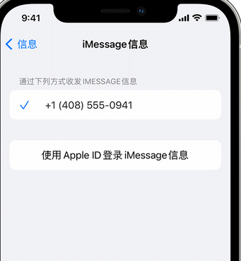 龙里apple维修iPhone上无法正常发送iMessage信息 