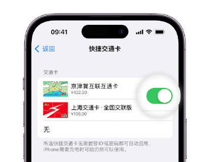 龙里apple维修点分享iPhone上更换Apple Pay快捷交通卡手绘卡面 