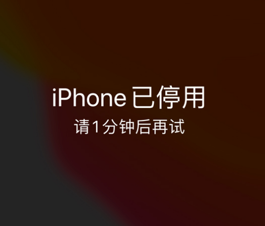 龙里苹果手机维修分享:iPhone 显示“不可用”或“已停用”怎么办？还能保留数据吗？ 