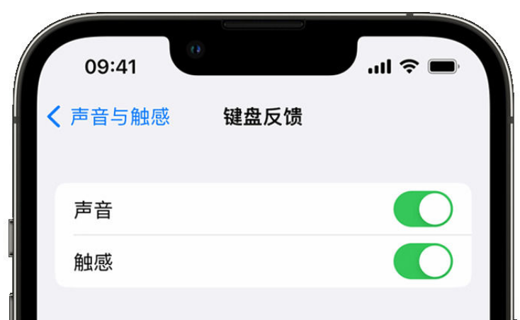 龙里苹果手机维修分享iPhone 14触感键盘使用方法 