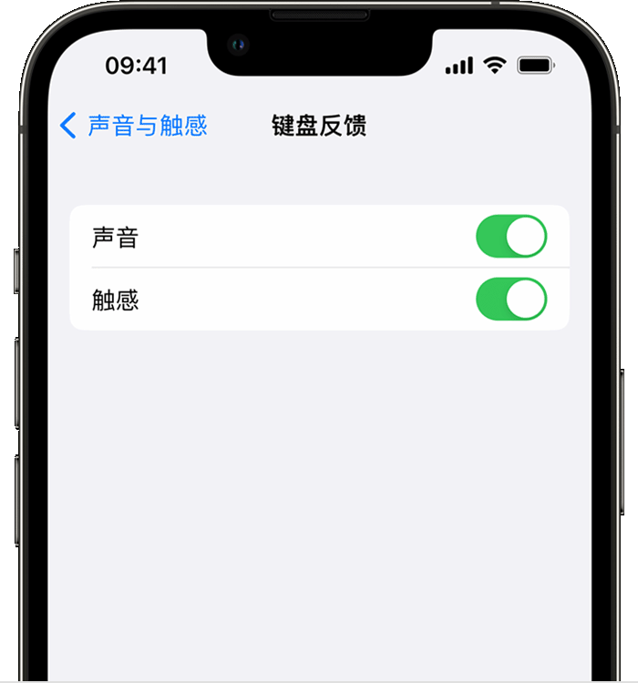 龙里苹果14维修店分享如何在 iPhone 14 机型中使用触感键盘 