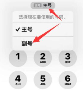 龙里苹果14维修店分享iPhone 14 Pro Max使用副卡打电话的方法 