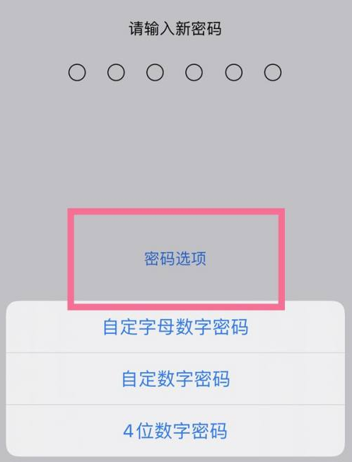 龙里苹果14维修分享iPhone 14plus设置密码的方法 