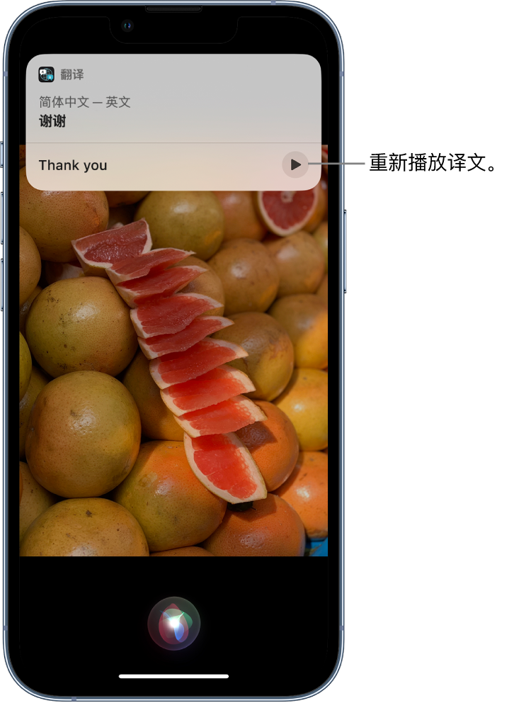 龙里苹果14维修分享 iPhone 14 机型中使用 Siri：了解 Siri 能帮你做什么 