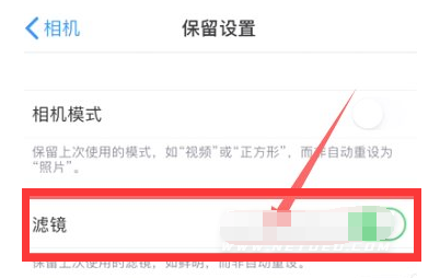 龙里苹果13维修分享iPhone13拍照有绿点是怎么回事 