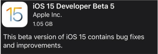 龙里苹果手机维修分享如何升级到iOS15.0 beta5 