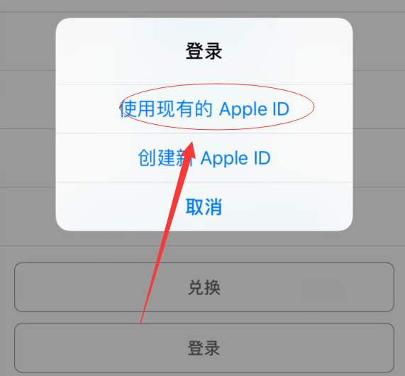 龙里苹果手机维修分享两台iPhone设备可以同时登录一个Apple ID吗 