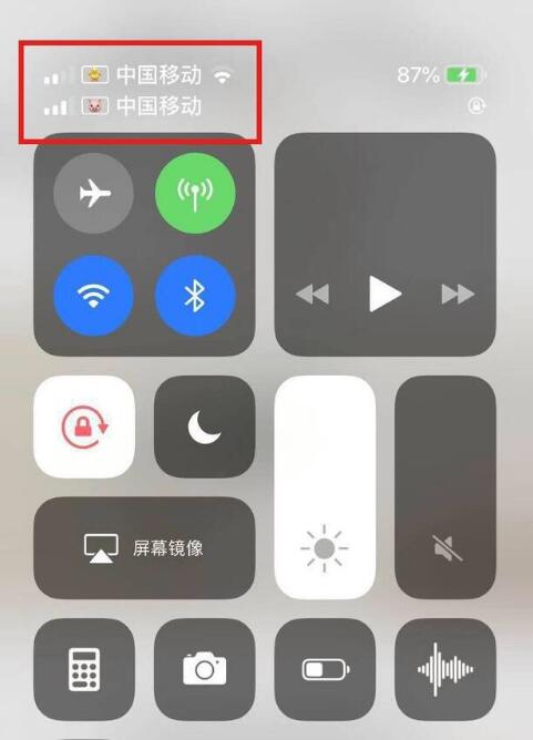 龙里苹果手机维修分享为 iPhone 12 双卡设置标签 