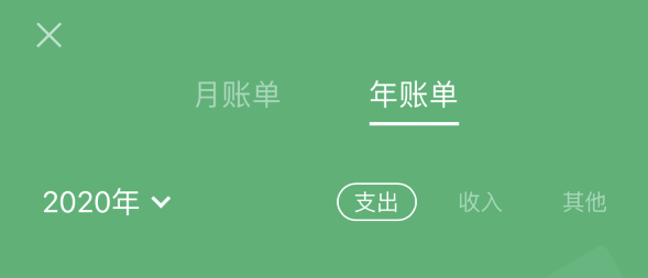 龙里苹果手机维修分享如何在 iPhone 上查看支付宝和微信年支出账单 